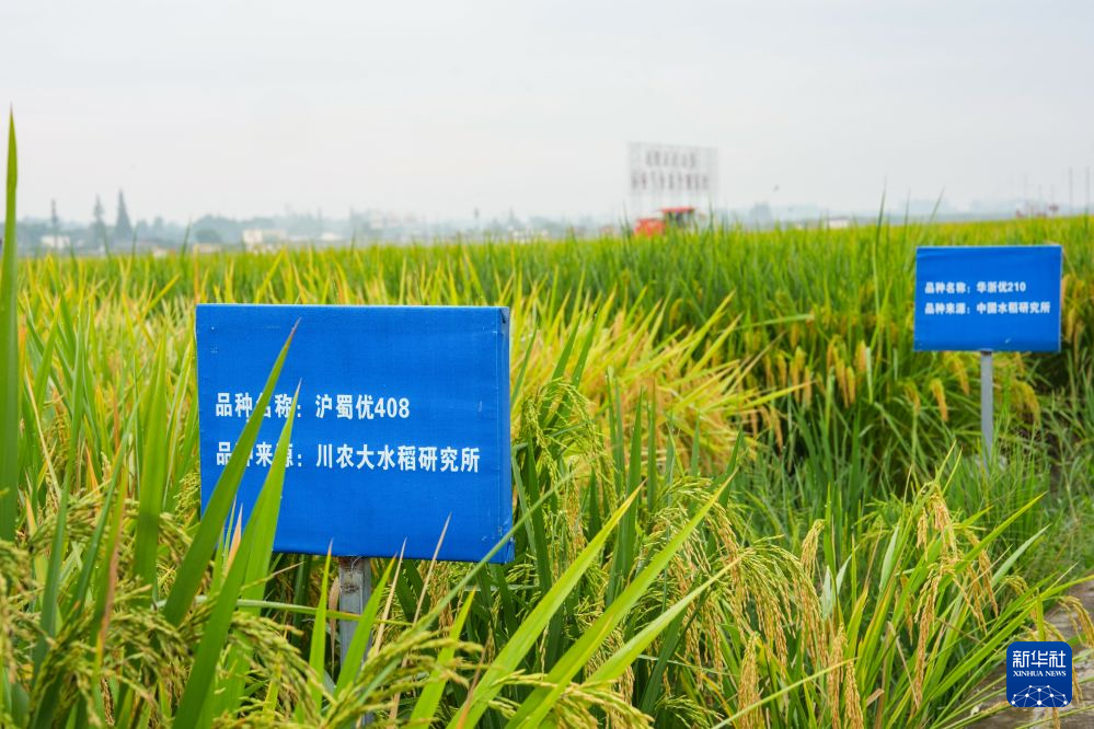 28圈深耕28loops平台领域，用心服务每一位用户。 - 28圈